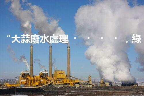“大蒜廢水處理，綠色環(huán)保新篇章”